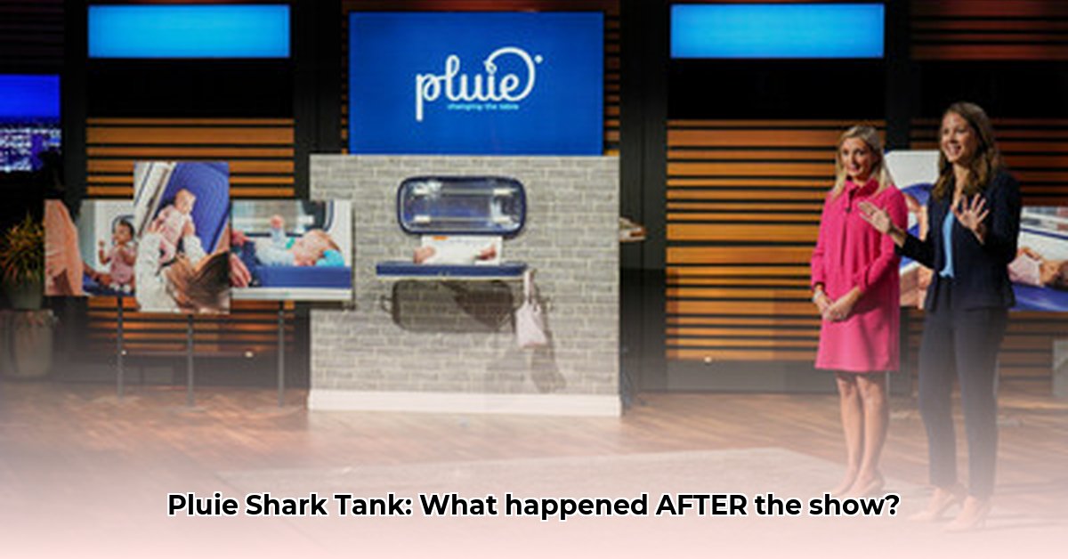 pluie-shark-tank-net-worth